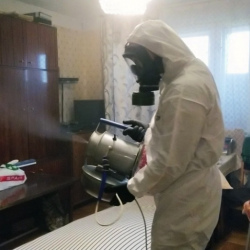 Дезинфекция от клопов в Каменском